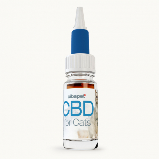 CBD-olja 2 % för katter